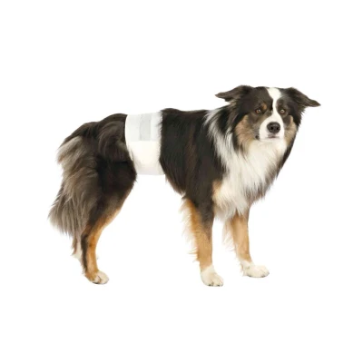 Obrázek Papírový inkontinenční pás TRIXIE pro psy (L XL) 60 80cm (12ks)
