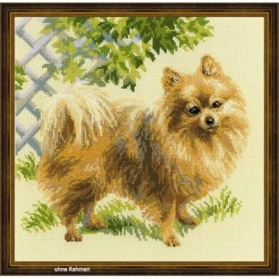 Obrázek Riolis 1585 Pomeranian Cross Stitch Kit, bavlna, vícebarevné, 25 x 0, 1 cm