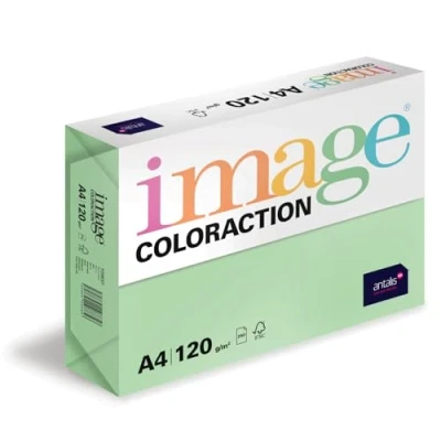 Obrázek Image Coloraction Forest barevný papír do kopírky DIN A4, 210 x 297 mm, 120 g/m² barevný, bezdřevý tiskárny 250 listů zelený