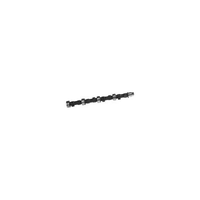 Obrázek Vačkový hřídel FEBI BILSTEIN 08749