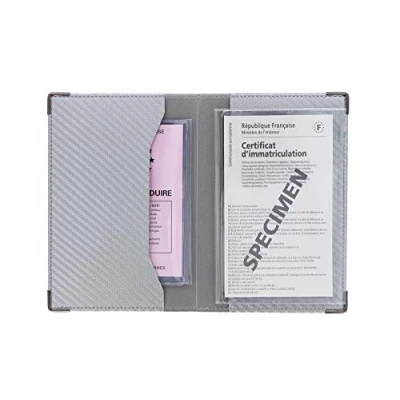 Obrázek sans Color Pop Papierhalter für Fahrzeug, Carbon Oberfläche, Farbe: Grau/Silberfarben, inkl. transparenter Etui graue Karte