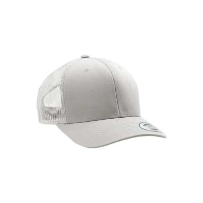Obrázek Flexfit Classic Kšiltovka, Velikost: One Size, Silver