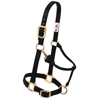 Obrázek Weaver Leder Original Verstellbare Nylon Pferd Halfter, 1&quot; Average Horse, schwarz