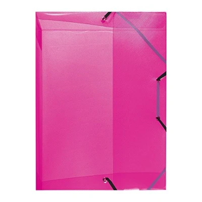 Obrázek Herlitz 10722510 Krabička na sešity A4 PP průsvitná šířka hřbetu 4 cm, malina