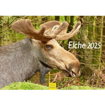 Obrázek Edition Seidel Prémiový kalendář los 2025 formát DIN A3 Nástěnný Zvířecí Skandinávie divoká zvířata lesní kráva jelen tele