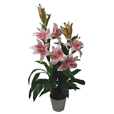 Obrázek Leaf Künstliche Lilienblume im Stargazer Stil, 90 cm, Rosa