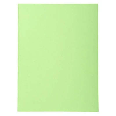 Obrázek Exacompta Balení 410013E (se 100 kryty na spisy Forever, z recyklovaného kartonu 250 g, DIN A4, 21 x 29,7 cm) světle zelená