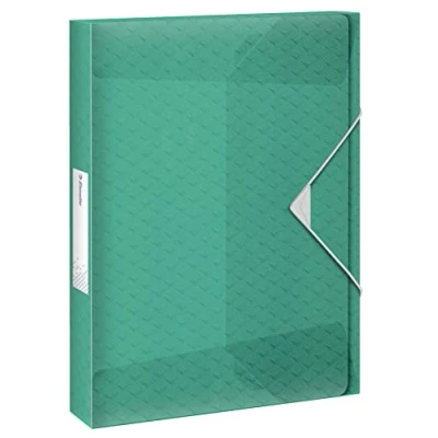 Obrázek Leitz Esselte A4 Ablagebox, fasst 200 Blatt, 25 mm Rückenbreite, transparente Dokumentenaufbewahrungs Organisationsmappe zur Schreibtischorganisation, Colour&#039;Breeze Serie, Grün, 626260