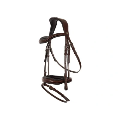 Obrázek BR Bridle Luton