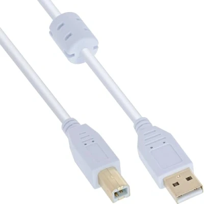 Obrázek InLine USB 2.0 Kabel, a AN B, Bílá/zlato, s feritovým jádrem, 2 m