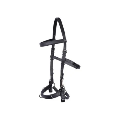 Obrázek Leather lunging bridle / Cavesson