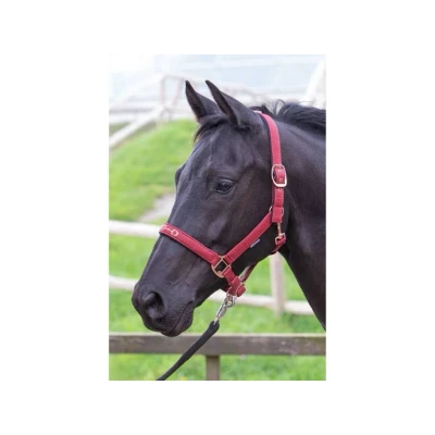 Obrázek Harry&#039;s Horse Halter Bit