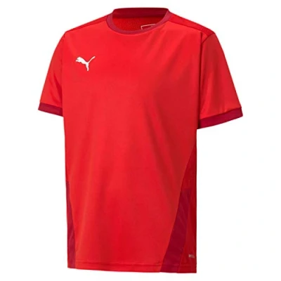 Obrázek PUMA Pánský teamGOAL 23 Jersey Trikot