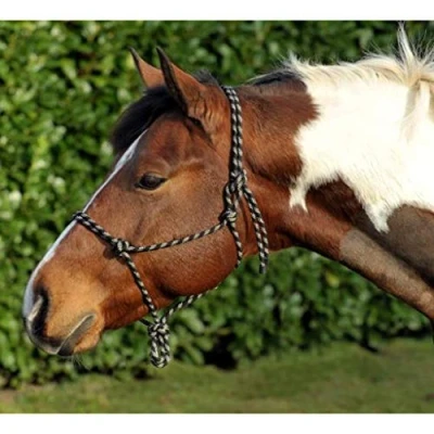 Obrázek Poloviční uzel 9125 černá/béžová Pony