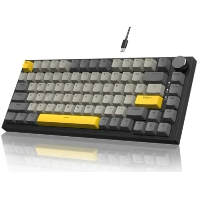 Obrázek YINDIAO Mechanická klávesnice Ajazz AK820 s tlačítkem, 75% rozložení ANSI, 82 kláves, herní propojená kabelem, vylepšená montáž těsnění, Hot Swappable, lineární spínač, RGB světlo, pro PC,