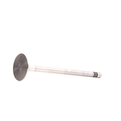 Obrázek Výstupní ventil febi bilstein 27366 , 1 kus