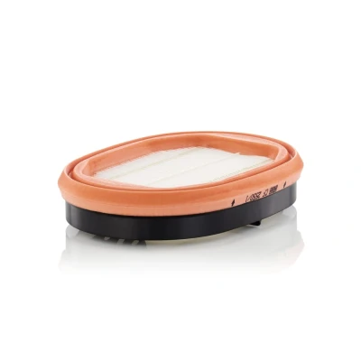 Obrázek Filtr sekundární vzduch MANN FILTER CF 2550/1
