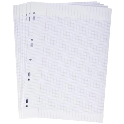 Obrázek Clairefontaine 14711C balení se 150 listy klauzura (dvojité listy) DIN A4 21 x 29,7 cm, 90 g děrované, francouzské linkování, zavařené, univerzální otvor, bílá, 1 ks