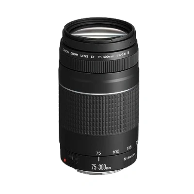 Obrázek Canon 6473A003(AA) fix objektiv EF DC 4,0 5, 6/75 300 III
