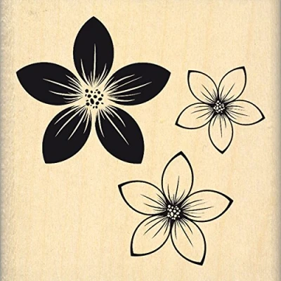 Obrázek Florilèges Design fe216105 Stempel Holz Trio Blumen Farbe 6 x 2.5 cm