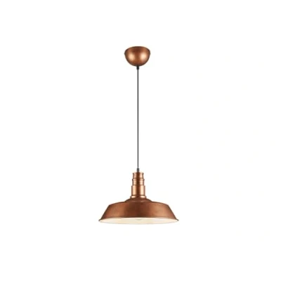Obrázek Reality Leuchten závěsné svítidlo Will R30421062, kov měděná barva antika, bez 1 x E27, 36 150 cm