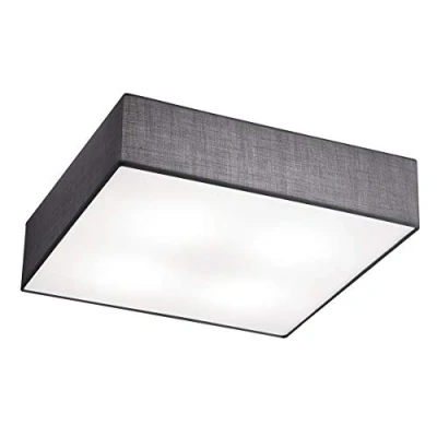 Obrázek TRIO Lighting Nástěnné svítidlo, Šedá, 50x50cm