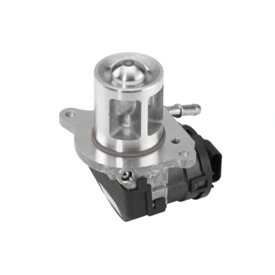 Obrázek AGR Ventil WAHLER 710095D