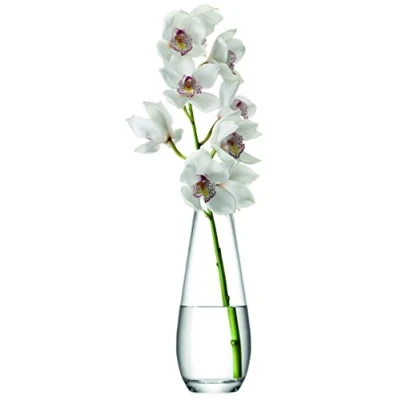 Obrázek LSA International Flower Vase für lange Stiele H29cm klar
