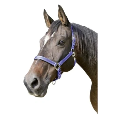 Obrázek Kerbl Halfter Mustang, 3, Modrá/černá