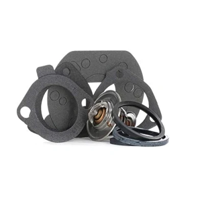 Obrázek GATES Termostat TH10981G1