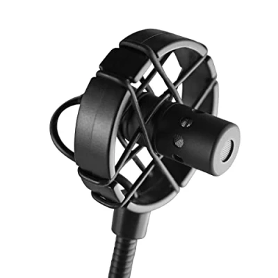 Obrázek Prodipe BL21 mikrofon pro kontrastní basy