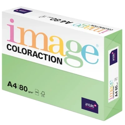Obrázek Image Coloraction Forest barevný papír do kopírky DIN A4, 210 x 297 mm, 80 g/m² pestrý, bezdřevý tiskárny pro 500 listů zelený