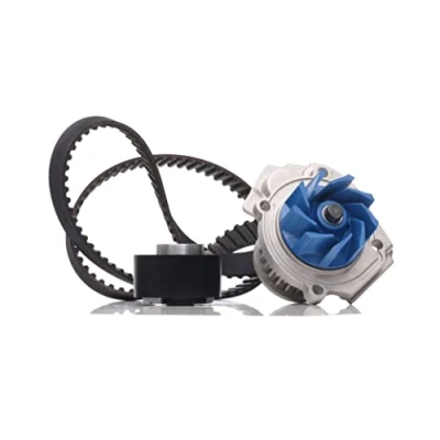 Obrázek SKF VKMC 02204 3 sada upínacích válečků vč. vodního čerpadla