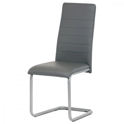 Obrázek Židle jídelní, šedá koženka, kov DCL 402 GREY