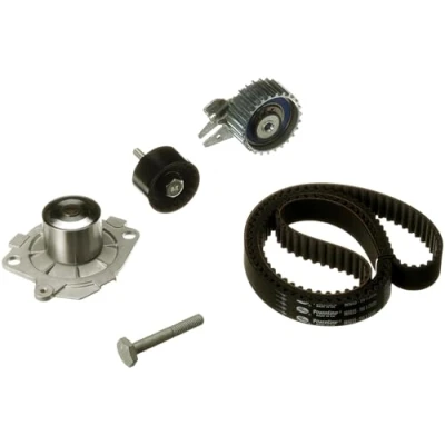 Obrázek GATES PowerGrip Kit + Wasserpumpe KP25650XS