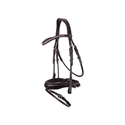 Obrázek BR Bridle Southam