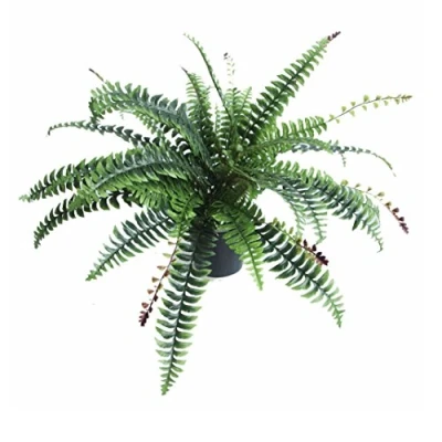 Obrázek LEAF Umělá rostlina Boston Farn, plast, 60 cm, černá, 7104