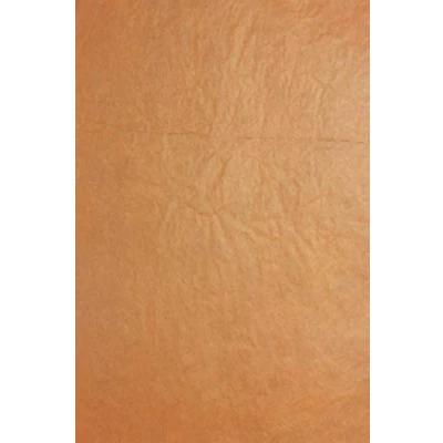 Obrázek Clairefontaine 393749C Packung (mit 8 Blätter Seidenpapier, 50 x 75 cm, 18 g/qm, ideal für Deko und Bastelprojekte) 8er Pack schokoladenbraun