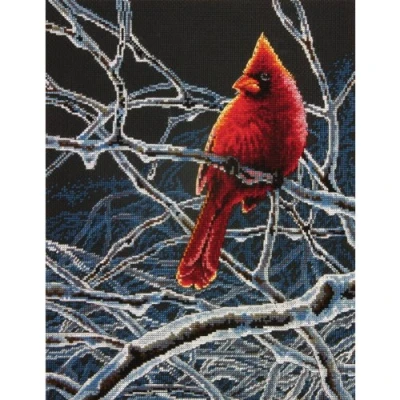 Obrázek DIMENSIONS ICE Cardinal, Cotton, Multi Colored