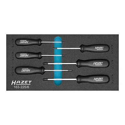 Obrázek HAZET 163 225/6 Nářadí sortiment