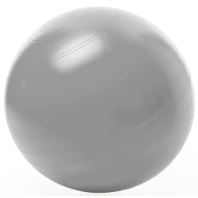 Obrázek TOGU Gymnastický míč sedací ABS (odolný proti roztržení), 75 cm, stříbrný