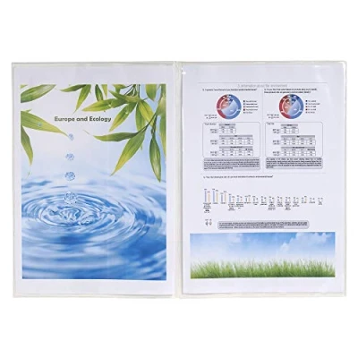 Obrázek Exacompta 5381E 20 ochranných pouzder (pro vaše dokumenty DIN A4, 29,7 x 21 cm, z hladkého PVC 150µ, 4 strany) 2 balení 10 ks průhledné