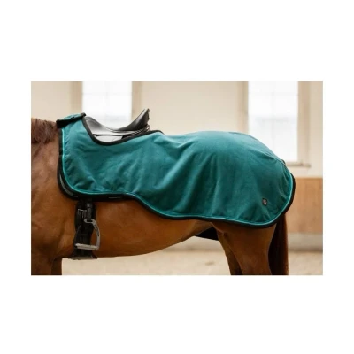 Obrázek BR CLX Exercise rug