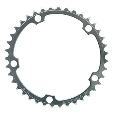 Obrázek CAMPAGNOLO Unisex Record řetězové kolo, stříbrná