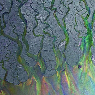 Obrázek An Awesome Wave [Vinyl LP]