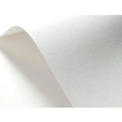 Obrázek Netuno 100x ražený karton bílý žebrovaný DIN A4 21 x 29,7 cm 246 g ze slonoviny ultra pro kutily strukturovaný vizitky pozvánky karty certifikáty diplomy