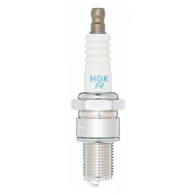 Obrázek Zapalovací svíčka NGK 2954
