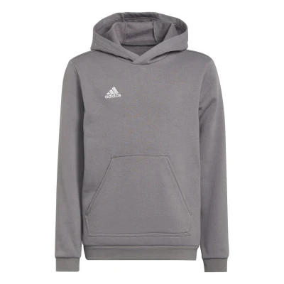 Obrázek adidas Performance Entrada Unisex Mikina s kapucí pro děti, Velikost: 152, Team grey