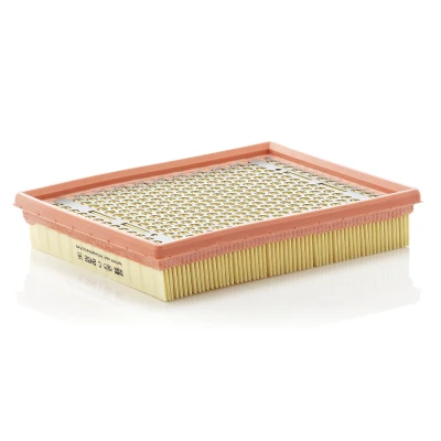 Obrázek MANN FILTER C 2452 vzduchový filtr pro osobní automobily