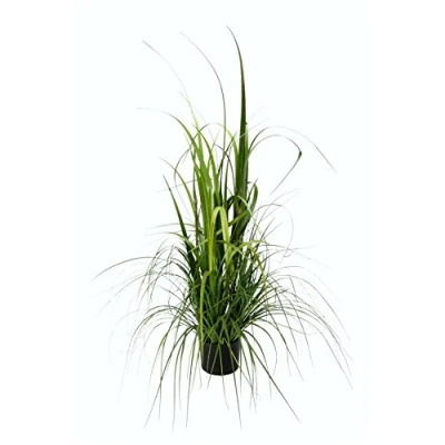 Obrázek Flair Flower příslušenství pro v květináči, plast, Zelená, 120 cm